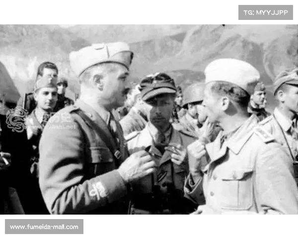 1943橡树行动 1943橡树行动